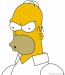 Homer 7.jpg