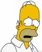 Homer 12.jpg