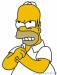 Homer 14.jpg