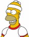 Homer 21.jpg